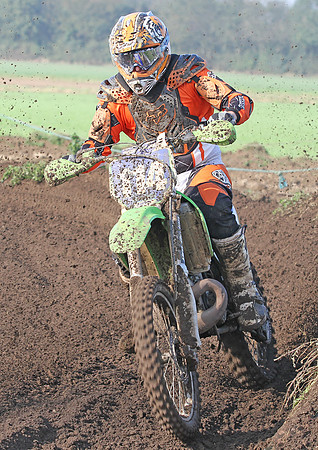 1733