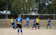 Rose Athletic v Shelf Juniors 16aug26