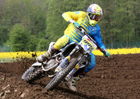 Gale Common A