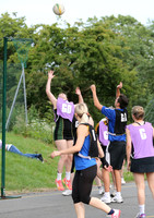 a1394