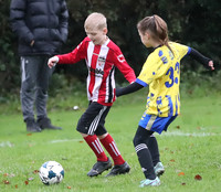 Crossley Jnrs u8 Colts v Gildersome