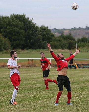 3306