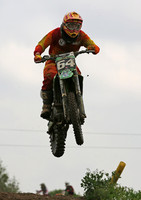 Gale Common B