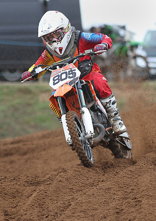 7981