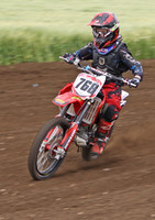 Bielby 85BW