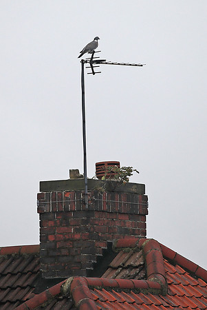 2399