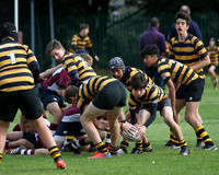 Bradford GS u15 v Crossley Heath u15  17sep16