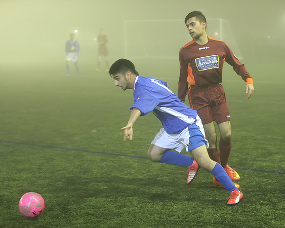 6194